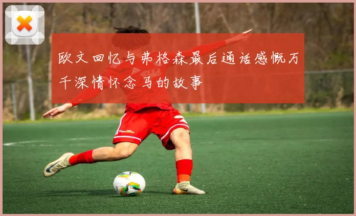 欧文回忆与弗格森最后通话感慨万千深情怀念马的故事